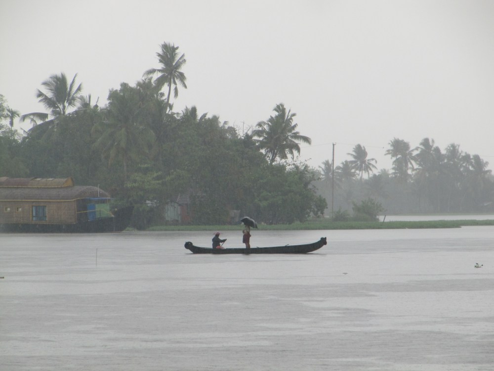 A scene on the backwaters.